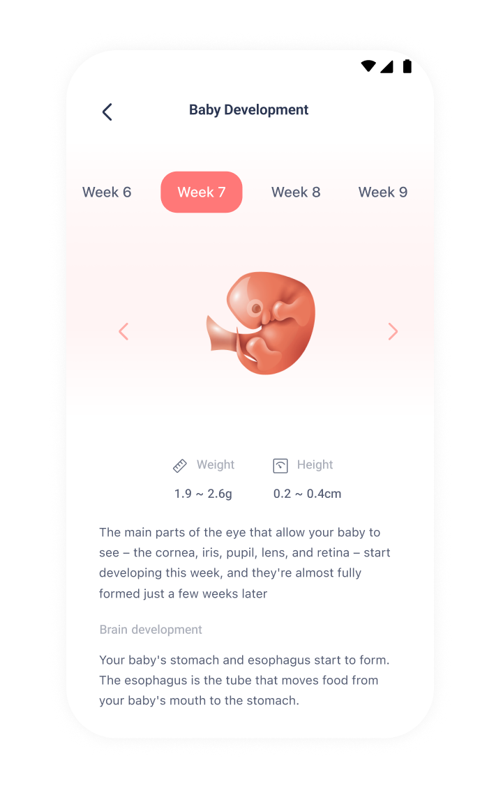 shero pregnancy mod